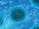 European regulators to ease banks burdens during Coronavirus epidemic