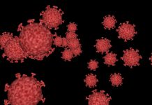 What can RegTech companies learn from the coronavirus outbreak?
