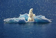 CDP awards Wordline A- rating for its efforts to minimise its environmental impact