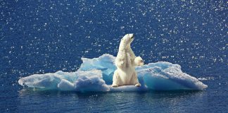 CDP awards Wordline A- rating for its efforts to minimise its environmental impact