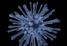Hackers use the coronavirus to steal credit card details