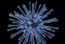 Hackers tried to break into the World Health Organization as number of coronavirus related attacks grow