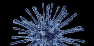 Hackers tried to break into the World Health Organization as number of coronavirus related attacks grow