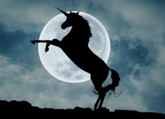 RegTech unicorn Collibra doubles its valuation after new funding round
