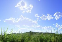 Identity management solution Clear Skye bags $4.95m in its Series A round