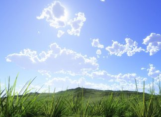 Identity management solution Clear Skye bags $4.95m in its Series A round