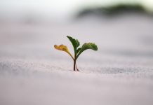 The global cyber insurance market expected to reach $28.6bn by 2026