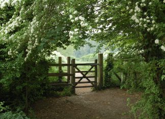 Cybersecurity startup SecurityGate.io closes Series A