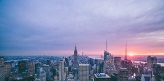 ClauseMatch grows the team in the US and signs two North American clients