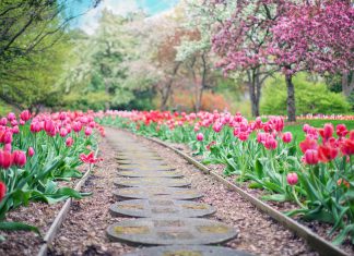 Derivative Path closes a $35m investment from FTV Capital