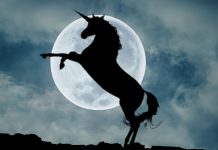 Auth0 bolsters its unicorn status with close of new round