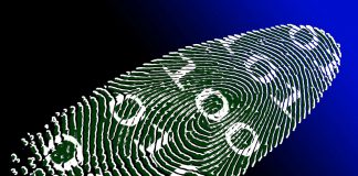 Trulioo launches new document verification and facial recognition features to protect small businesses against fraud and financial crime