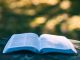 Wrapbook scores $3.6m in its seed round led by Equal Ventures