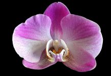 Could Covid-19 pushing for more sustainability investments be good for RegTechs?