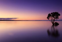 Accounts Payable company MineralTree scores $50m in its Series D round