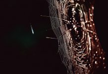 Illusive Networks concludes 12 months of strong growth with the close of its Series B1