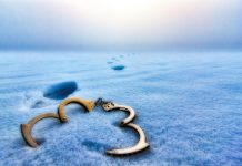 Money laundering fugitive Richard Baldwin ordered to return £1.6m or face eight more years in prison