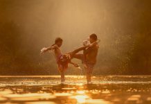 Should a firm choose cyber insurance or cyber risk management?