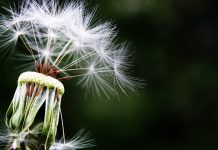 New FCA rules urge businesses to make better climate-related disclosures