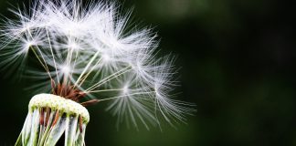 New FCA rules urge businesses to make better climate-related disclosures