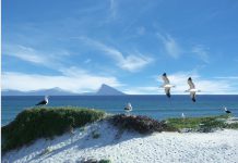 Cyber insurance startup At-Bay secures $34m in its Series C round