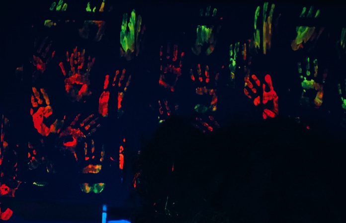 pexels-maria-eduarda-tavares-5093036