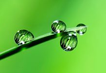 Investors “woefully unprepared” for the implementation of SFDR – experts warn