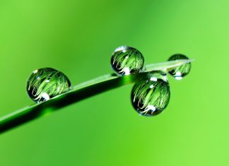 Investors “woefully unprepared” for the implementation of SFDR – experts warn