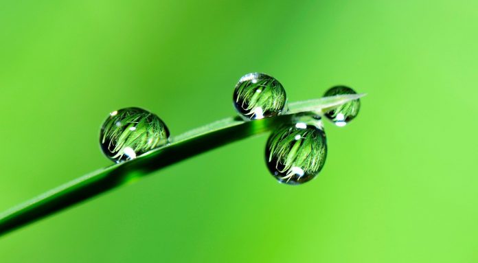 water-2986837_1280