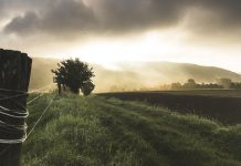 seedata.io said to close £120,000 in pre-seed funding