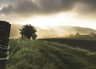 seedata.io said to close £120,000 in pre-seed funding