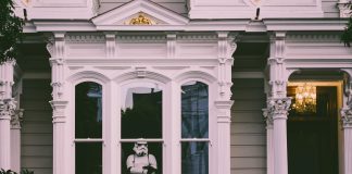 Privacera bags $50m in Series B round to help companies automate compliance and security