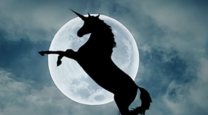 Aqua Security becomes a unicorn after the close of its Series E