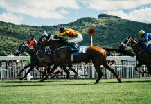 New York Racing Association extends contract with Alessa to boost its AML capabilities
