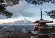 Japanese report offers recommendations on promoting sustainable finance