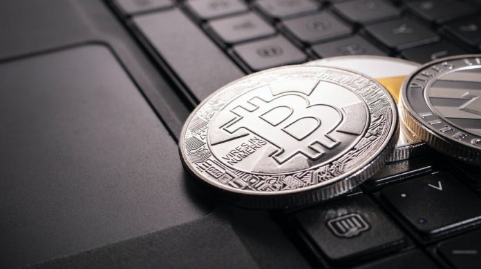 pexels-photo-8185628