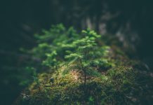 MioTech to upgrade ESG data services on the back of Series B+ close