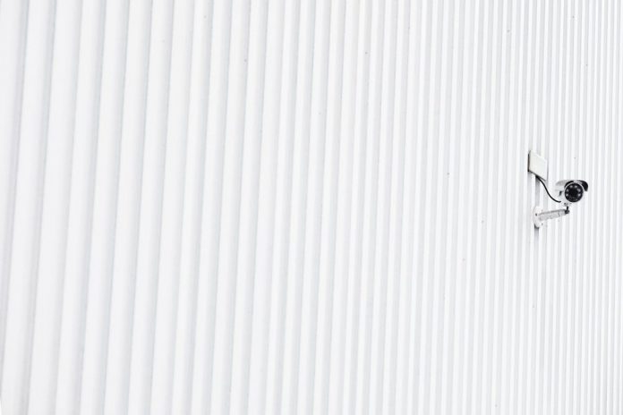 pexels-photo-2259221