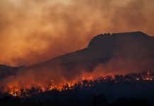 Hong Kong’s SFC introduces climate risk requirements for fund managers