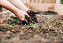 ComplyAdvantage, McKinsey execs bet on UK-based cybersecurity startup seedata.io in pre-seed round