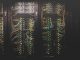 Sikoia collects $2.3m to support launch of platform later this year