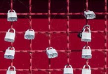 Data security platform Borneo nets Series A capital