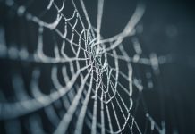 WebID secures majority investment from private equity firm