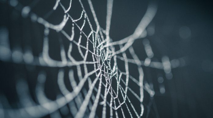WebID secures majority investment from private equity firm