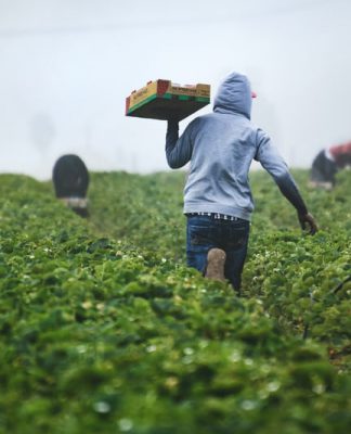 FBI warns food and agriculture sector about ransomware attack increase impact