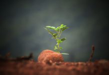 How KYC Portal became a leading RegTech provider