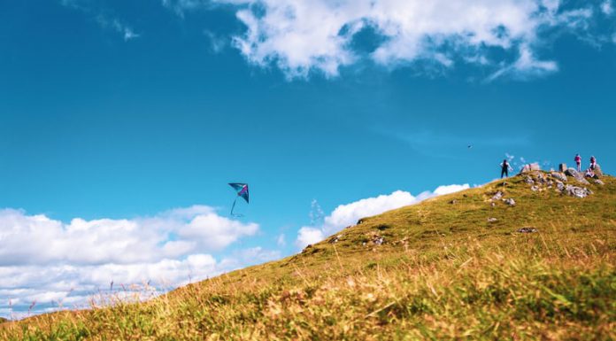 Black Kite raises $22m to meet rising vendor risk management demand
