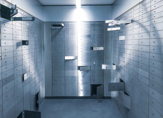Bringing data protection to a new era – Vaultree secures funding for its mission