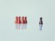 Who are the new compliance and risk leaders in the digital-first world?