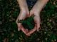 EU and China publish sustainable finance common taxonomy